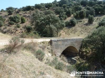 Río Manzanares y el Puente de la Marmota; rutas gps senderismo